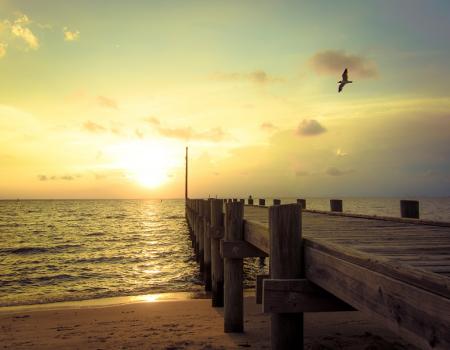 Things to Do in Fairhope AL