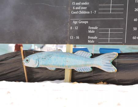 scoreboard fro mullet toss